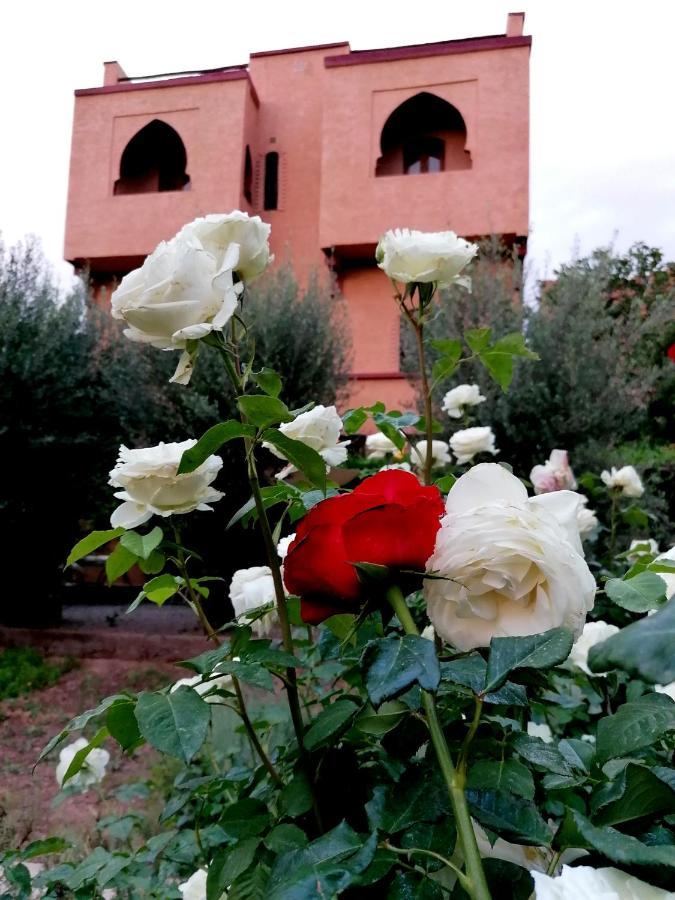 Riad Tazawa Ibrahene Buitenkant foto